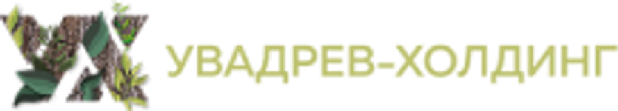 Увадрев-Холдинг